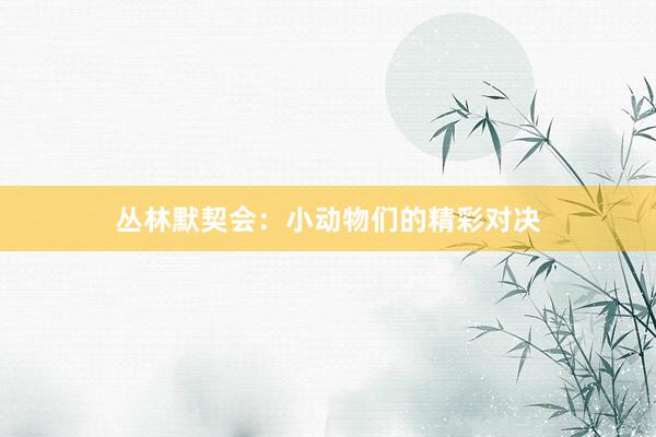 丛林默契会:小动物们的精彩对决